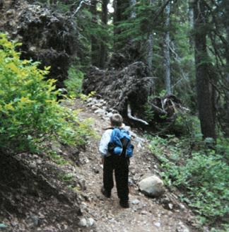 Setting off on the trail